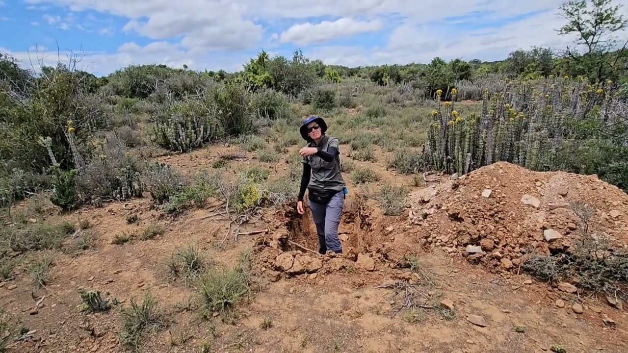A chat with Prof. Cathy Clarke about soils in the Subtropical Thicket