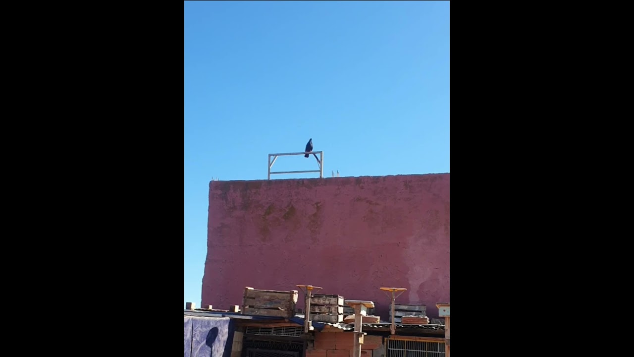 السلام عليكم ورحمة الله..دكر السفيانوس بوحدو مطلوق