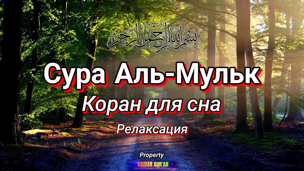 Рамазон тунларида қалбни тинчлантирувчи гўзал тиловат | Мулк сураси