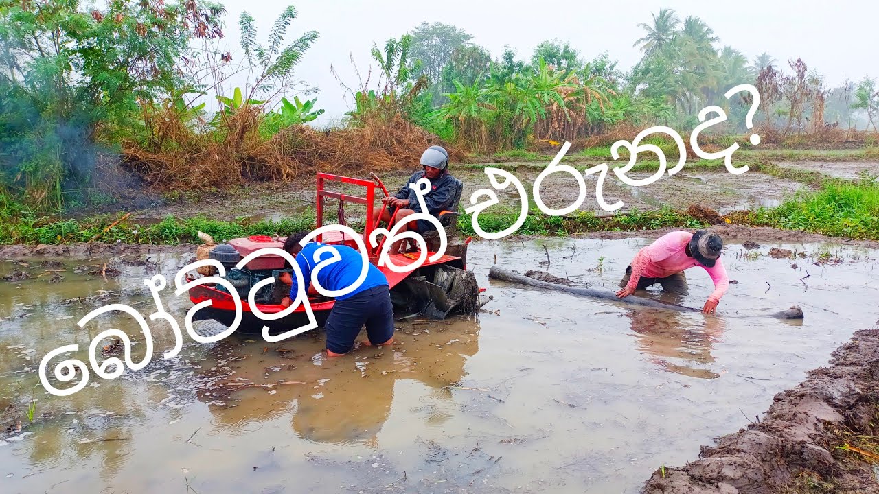 මඩ වගුරේ එරුනු බෝට්ටු ට්‍රැක්ටරය 🚜🚜 #boattractor #srilanka @littlebitofeverything6314 Subscribe🔔▶️