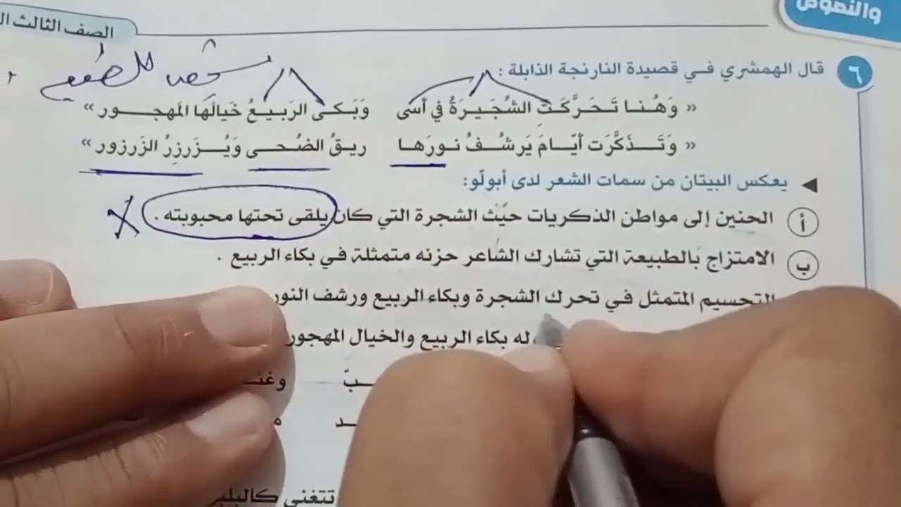 حل تدريبات أدب مدرسة أبولو ـ كتاب الإبداع ـ الصف الثالث الثانوى 2029