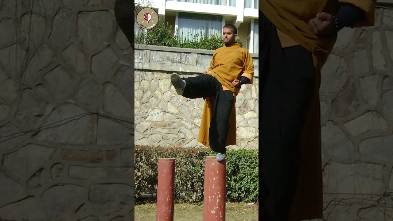 India's Shaolin Gurukul |  Part 2 😍🔥 #shorts