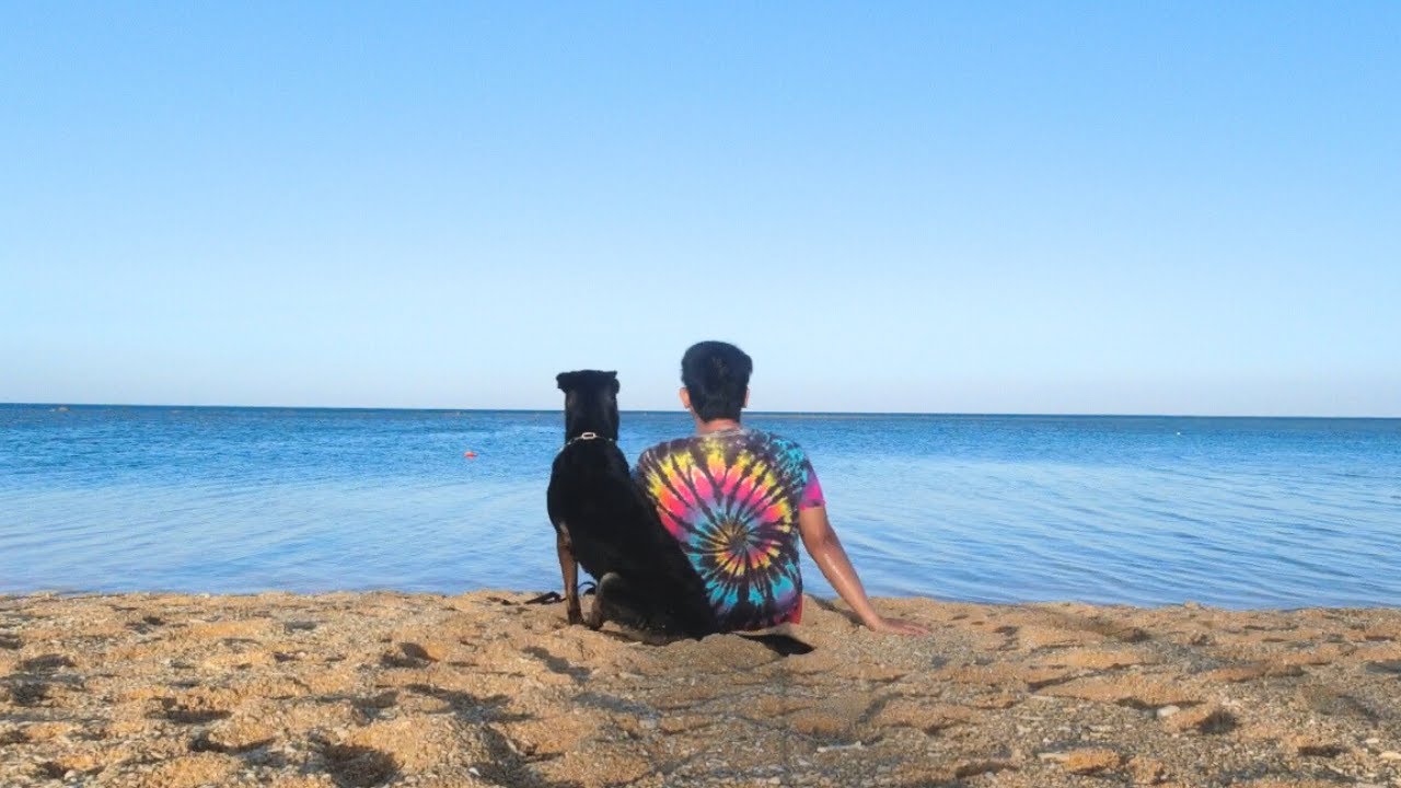 Vlog 183: ISLAND OVERNIGHT WITH MY BELGIAN MALINOIS (ATHENA) #dogs #belgianmalinois #papsnikstv