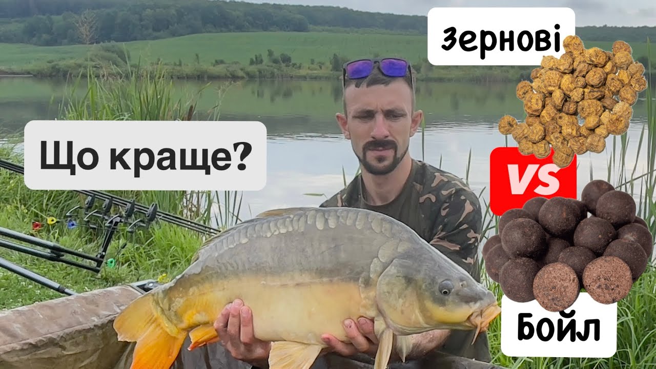 ЯКИЙ КОРМ ОБРАТИ? Зернові чи бойли? #fishing #рибалка #амур