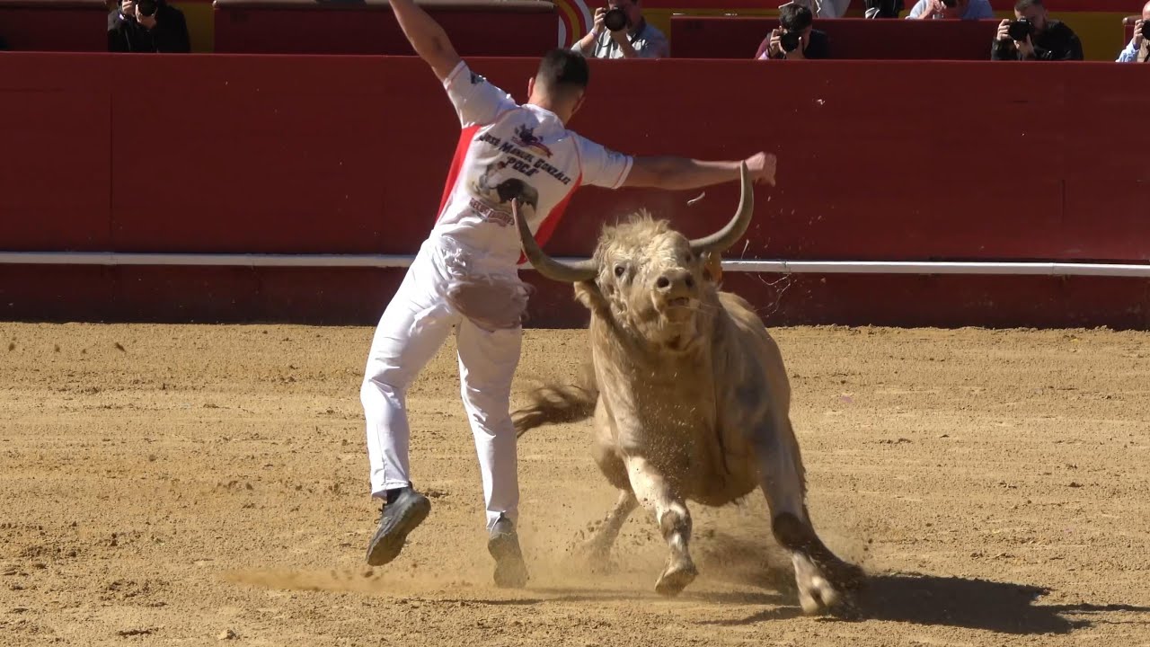 TORO FURIOSO DEJA SIN PANTALÓN AL RECORTADOR! Concurso Recortes VALENCIA 2025