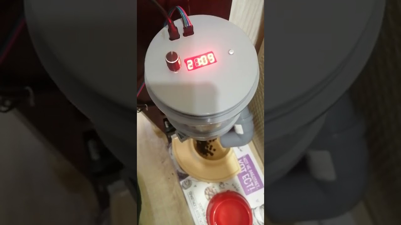 автоматическая кормушка для кошек и собак