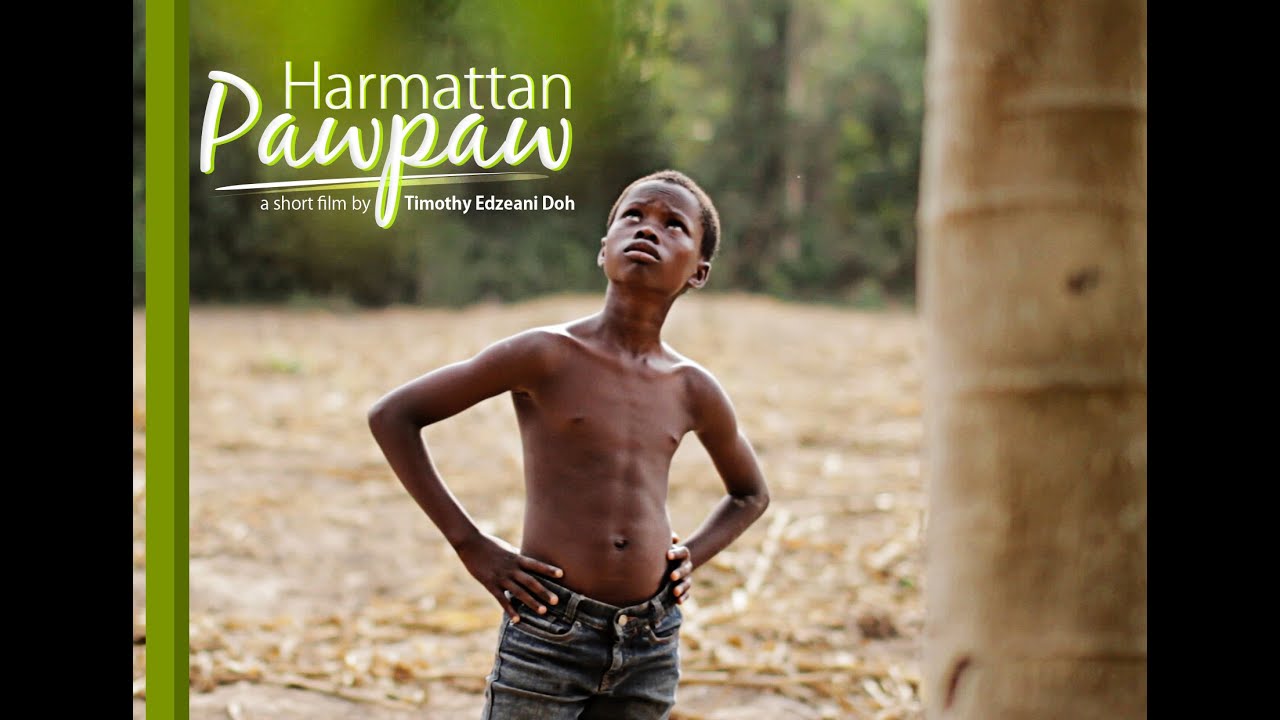 HARMATTAN PAWPAW   |   A Short Film  |   2nd Accra-Francophone Film Festival, Ghana.