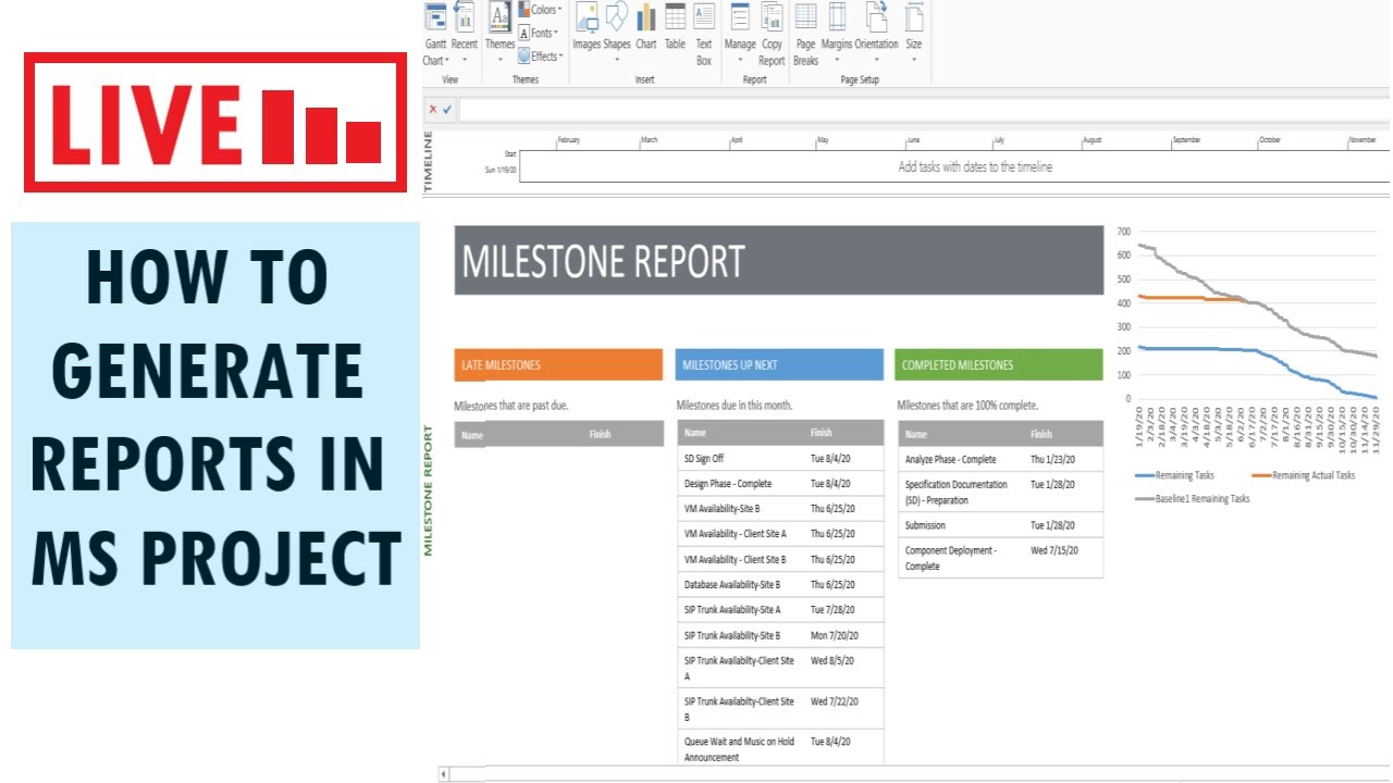MS Project Reports | How to Generate Reports in MS Project 2013 - Live Stream