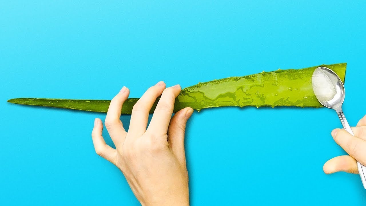 10 MODI PER USARE L’ALOE VERA || I BENEFICI PER LA SALUTE E LA BELLEZZA