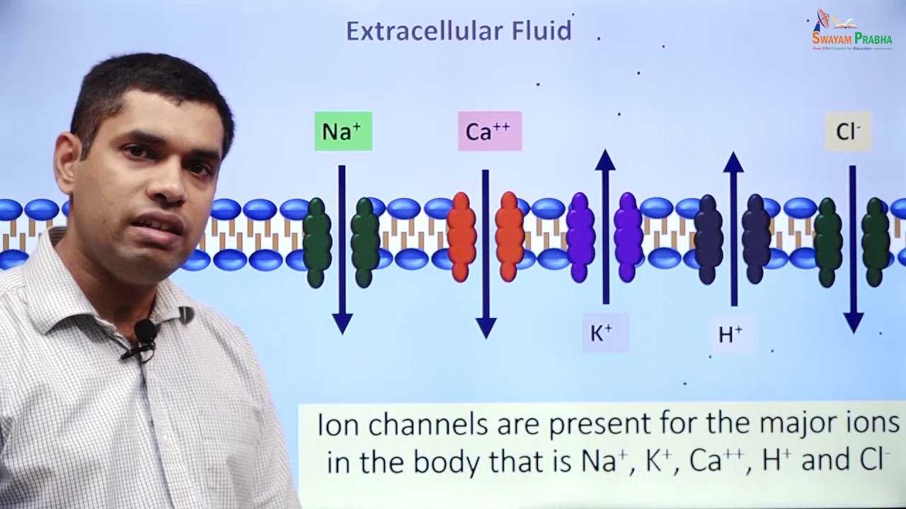 Ion channels part I