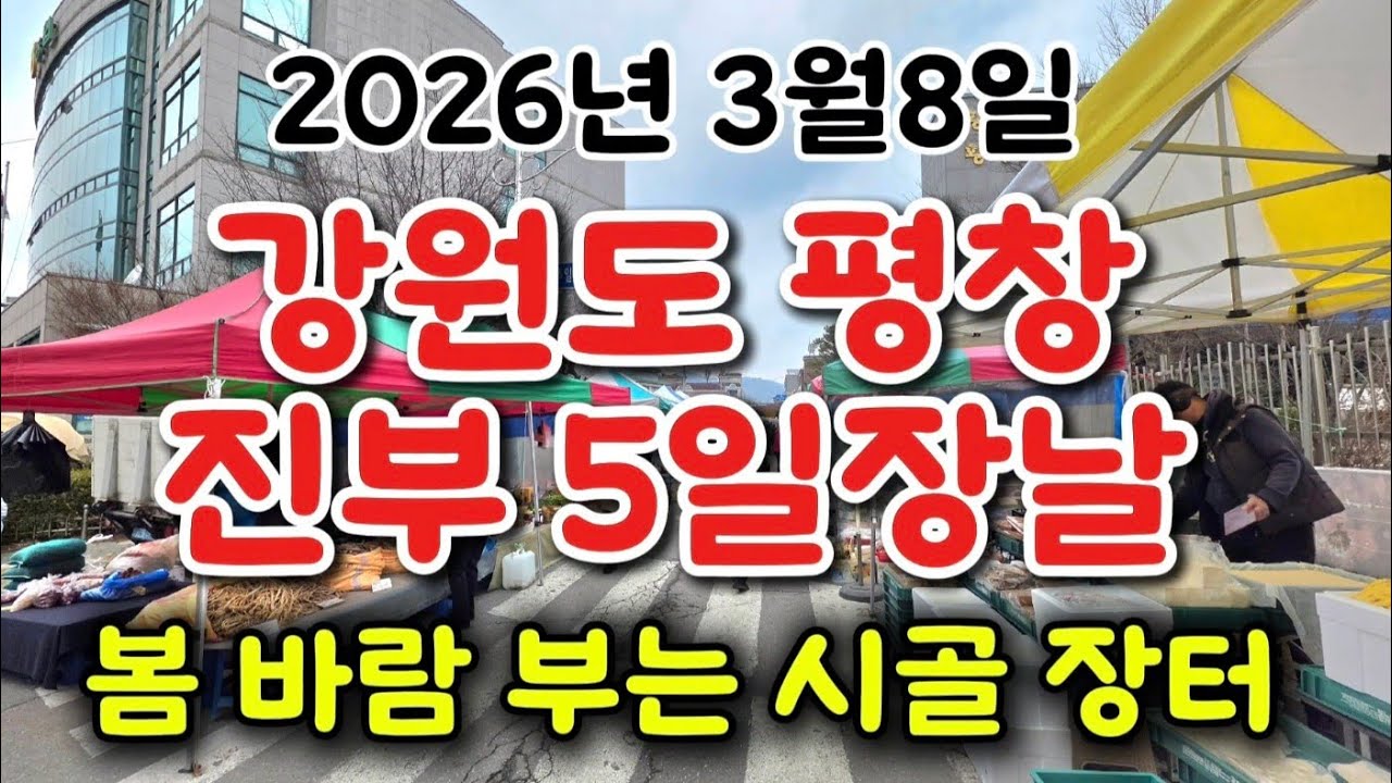 강원도 평창 진부 5일장날  / 봄 바람 🌸 부는 시골 5일장날 
