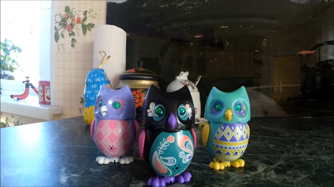 Совы Digiowls