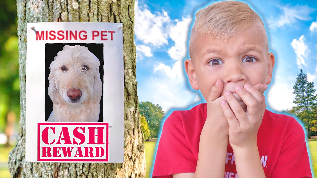 Help Me! I LOST My Pet Dog!