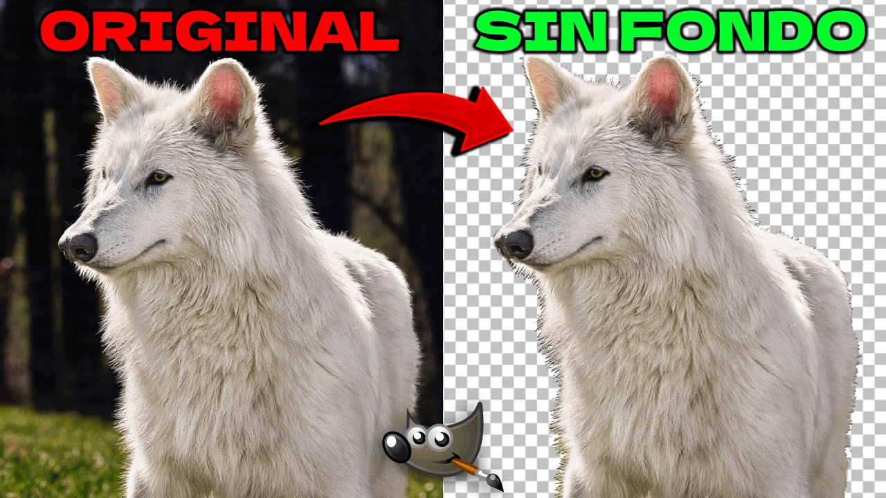 Quita el FONDO de cualquier imagen con GIMP GRATIS 🖼️ (¡4 métodos distintos!)