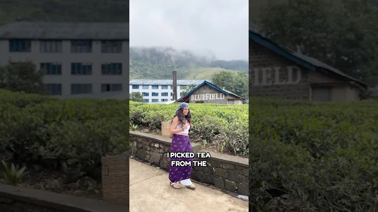 Эта страна дешевле Индии и похожа на Англию! 🇱🇰 Шри-Ланка