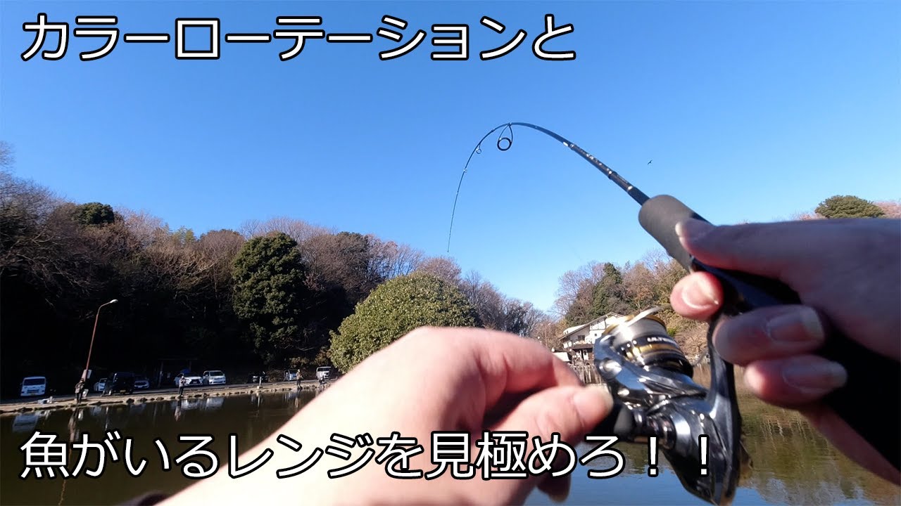 ベリーパーク in fish on 王禅寺を攻略！！