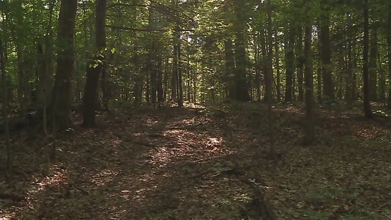 Human remains discovered by hikers in North Collins