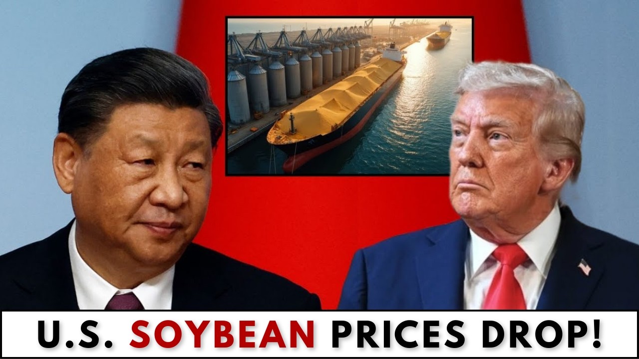 U.S. farmers crisis 2025
