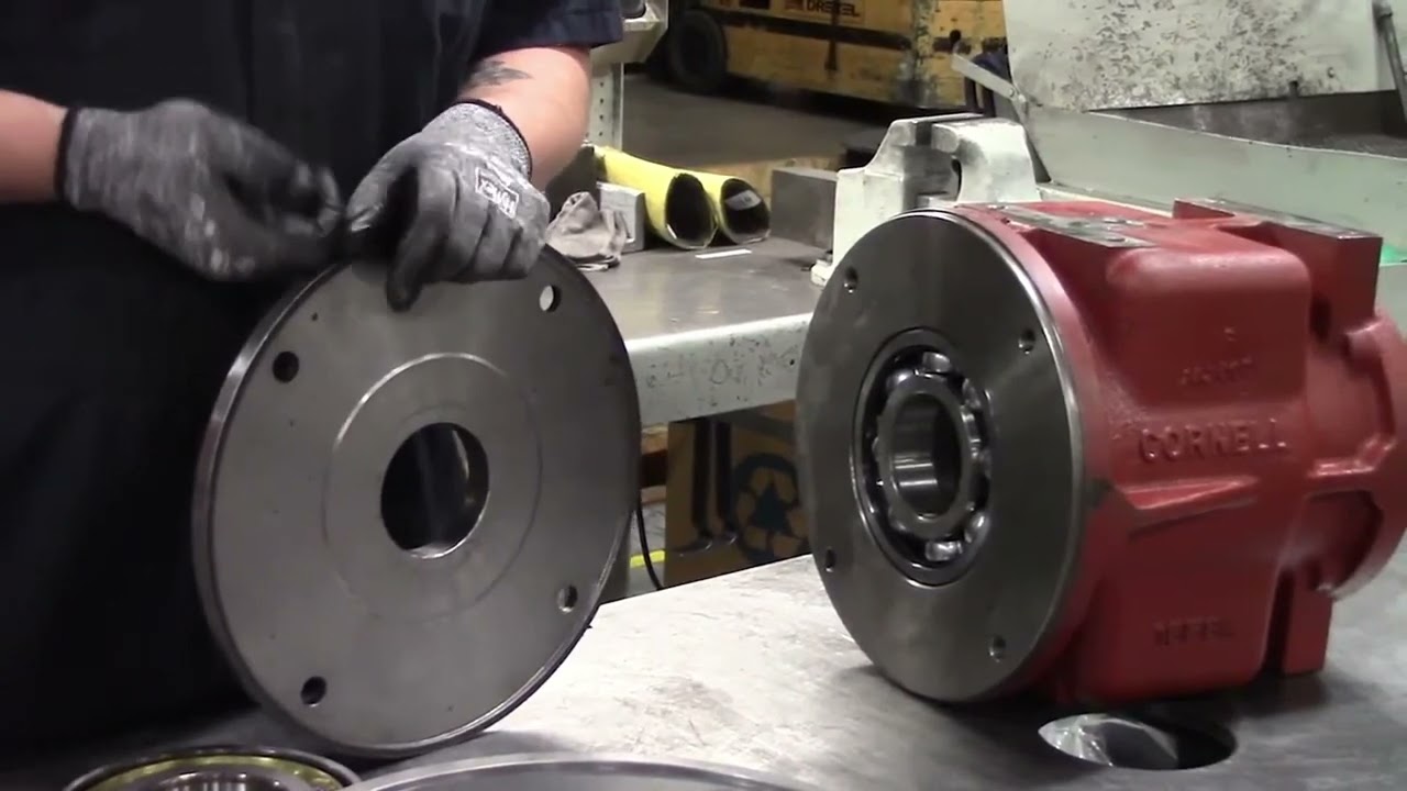 Will Pump (Cornell Pump ensamble armazon)