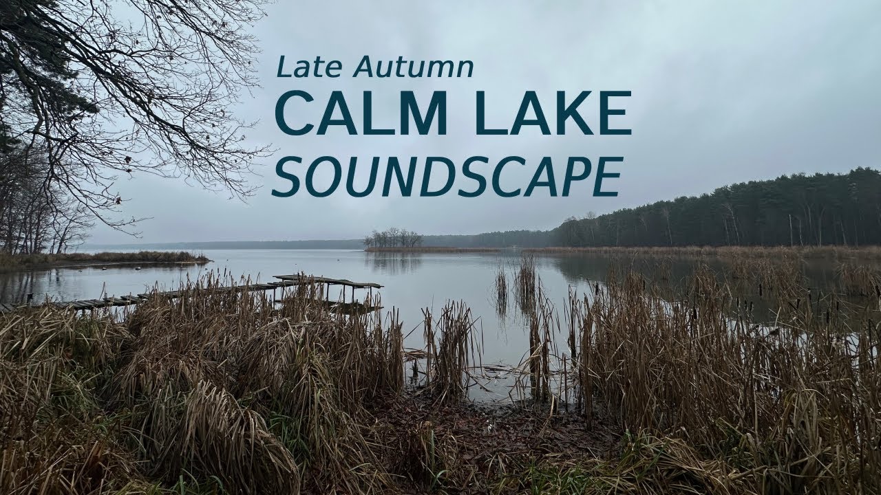 Calm Lake - Late Autumn Soundscape