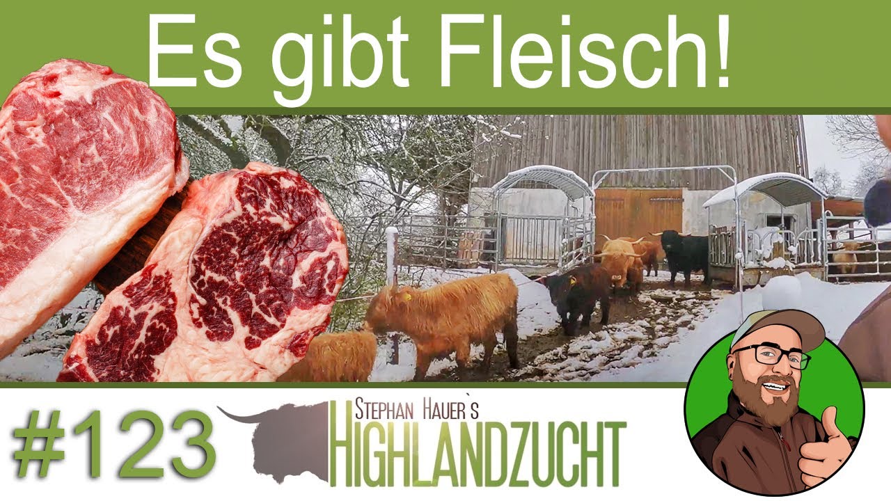FarmVlog #123: Das Fernsehen kommt auf den Hof | Der Winter ist zurück | Der Webshop hat geöffnet