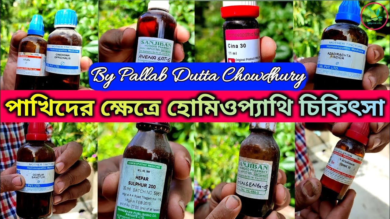Homeopathy Medicine Treatment For Exotic Birds Care And Breeding||KUILA For EVER