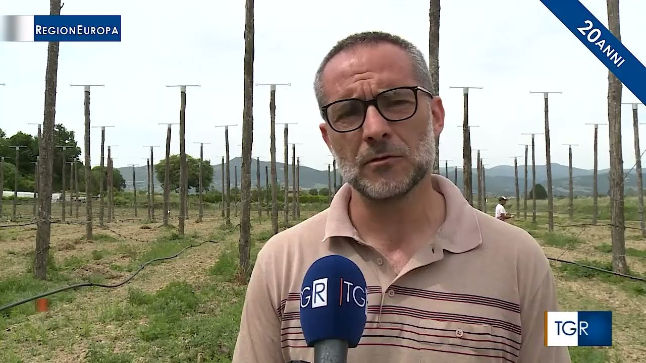 TGRegionEuropa | Luppolo Made in Italy
