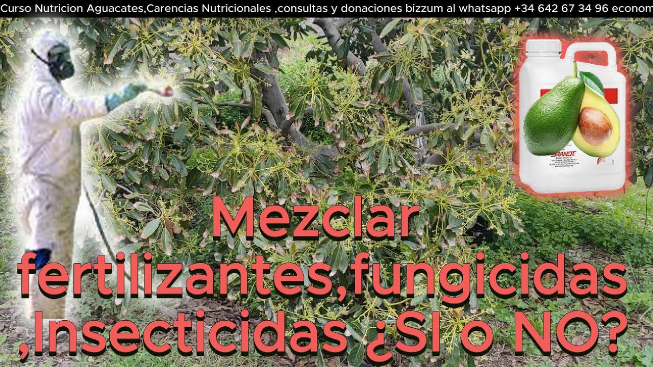🌿 ¿Se Puede MEZCLAR FERTILIZANTE FOLIAR con INSECTICIDAS y FUNGICIDAS? 🥑 Evita Errores Comunes