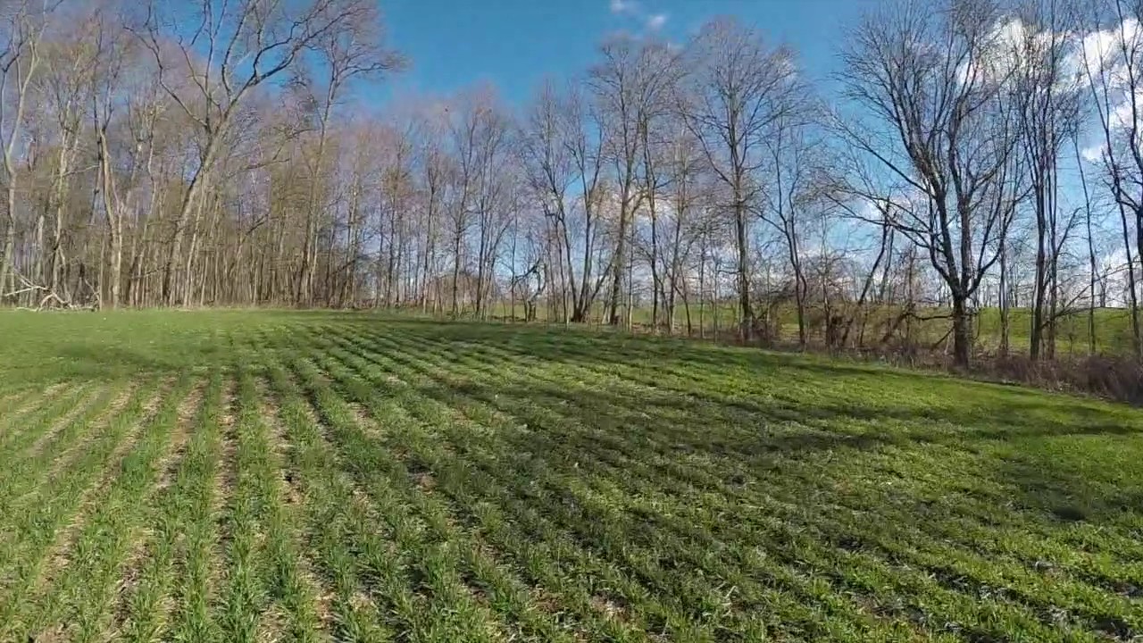 Wheeling Road Land