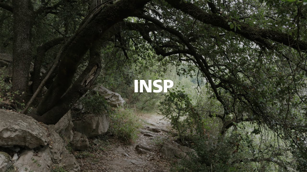 Mfly Music - Insp // MFLY INSTRUMENTALS