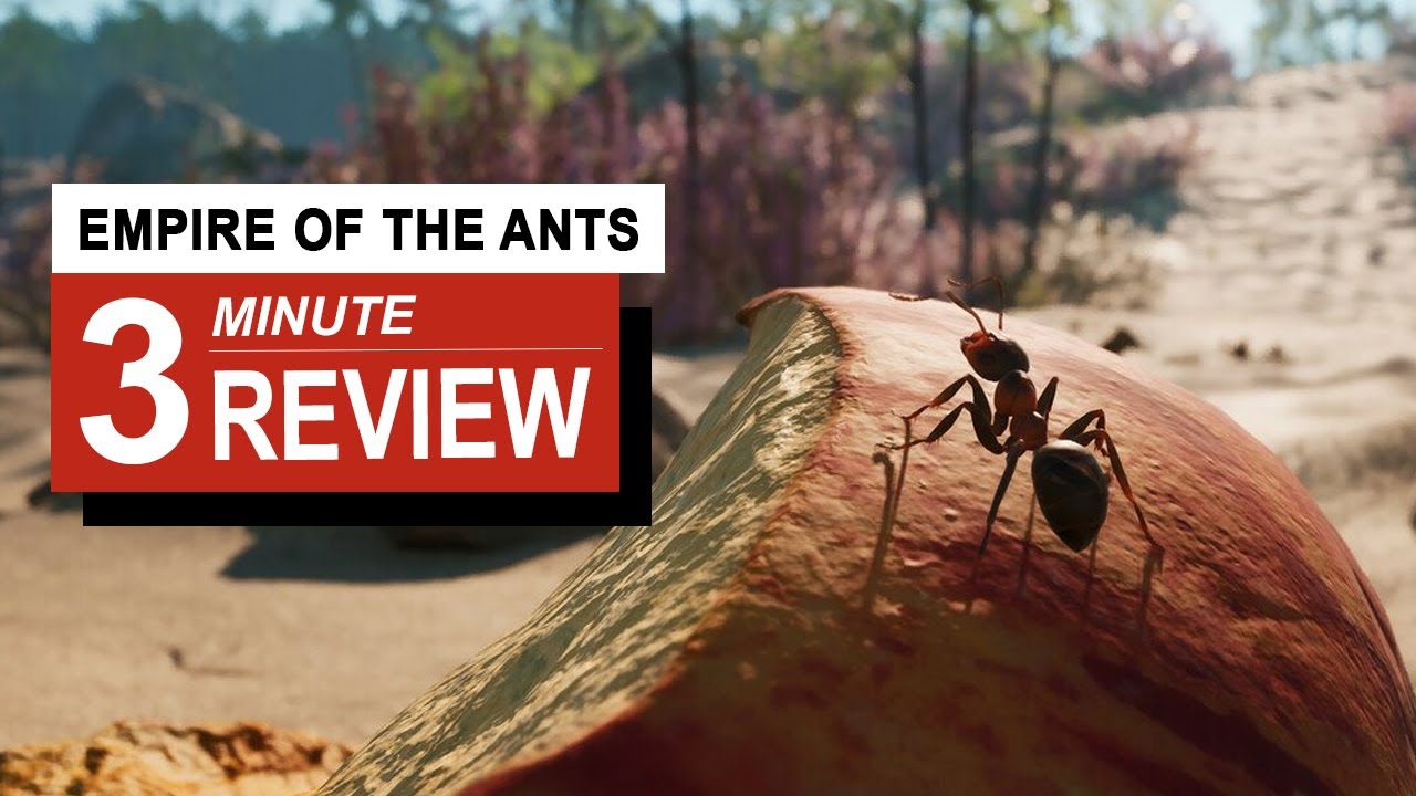 Обзор Empire of the Ants за 3 минуты | GamingByte
