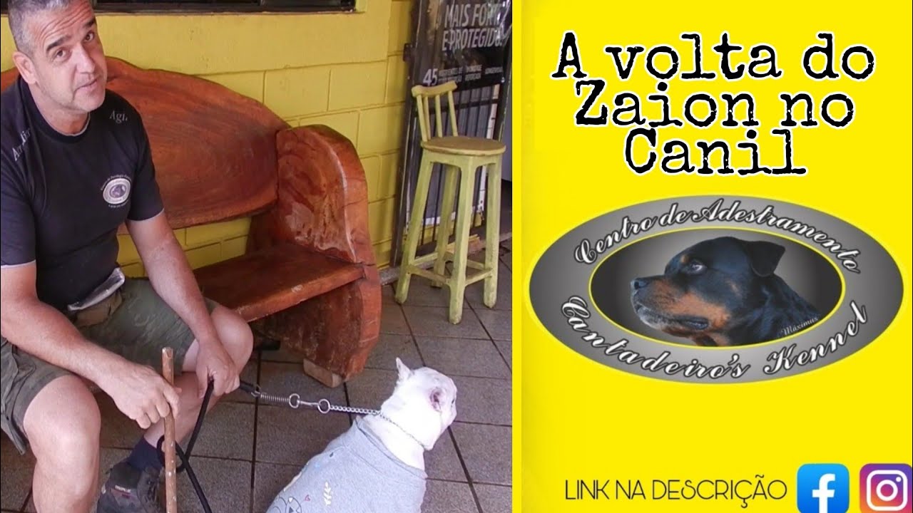 A volta do Zaion no Canil