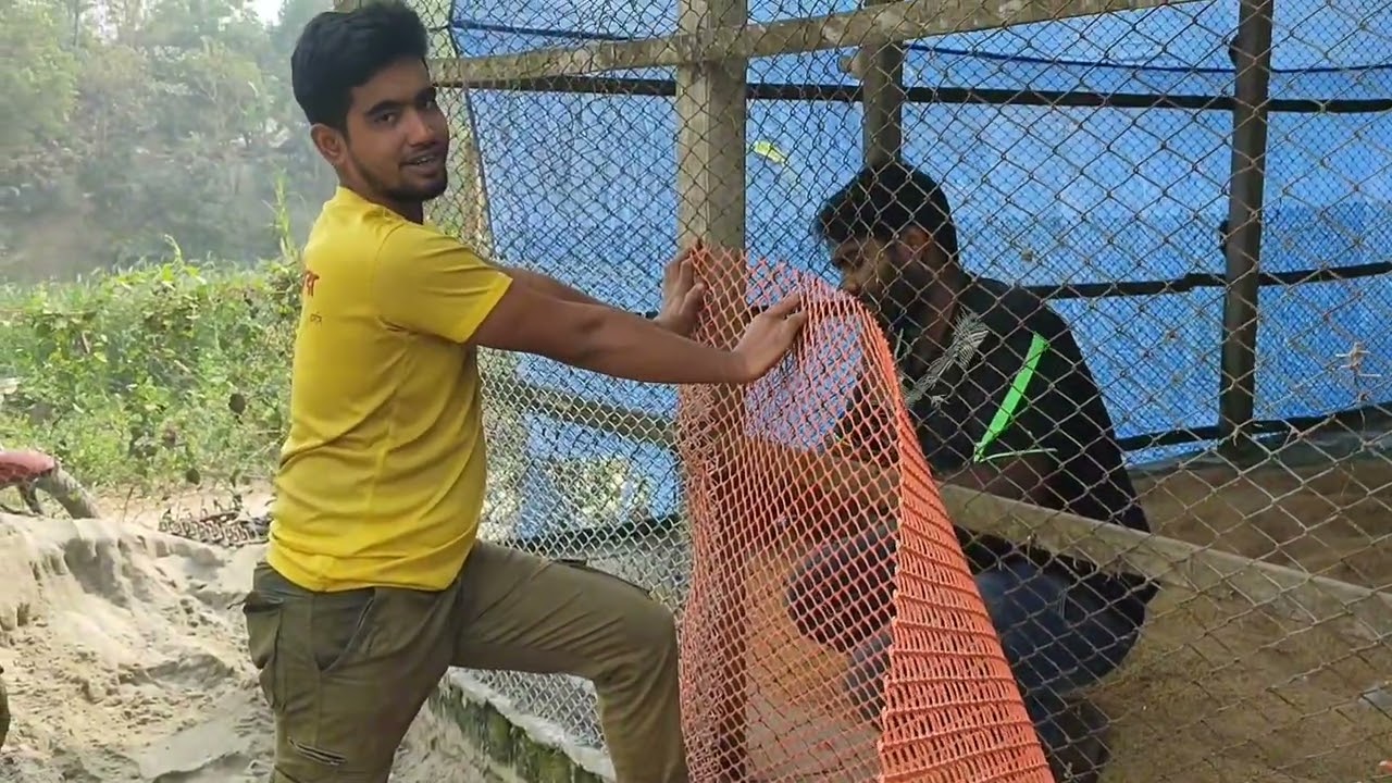 ইঁদুর এর জালায় থাকা বড় দায়