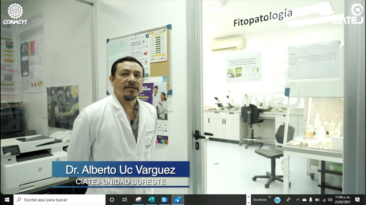 Aislamiento, purificación e identificación de fitopatógenos