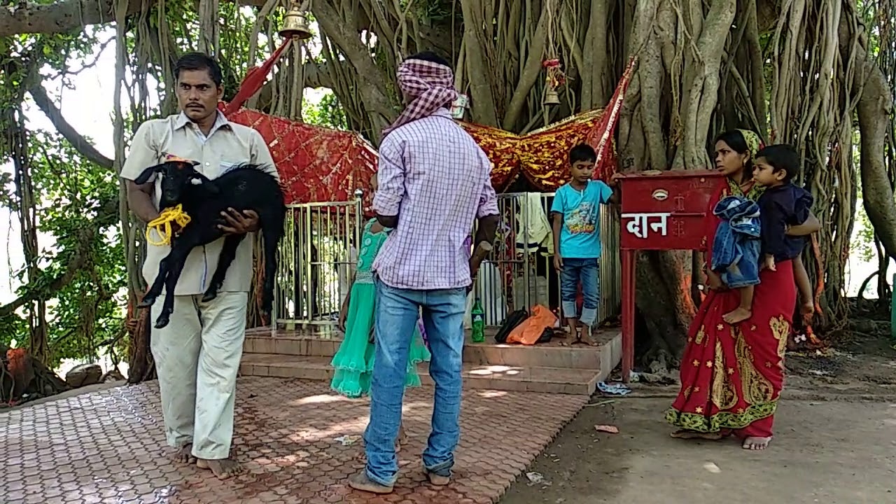 Tuesday Pooja
