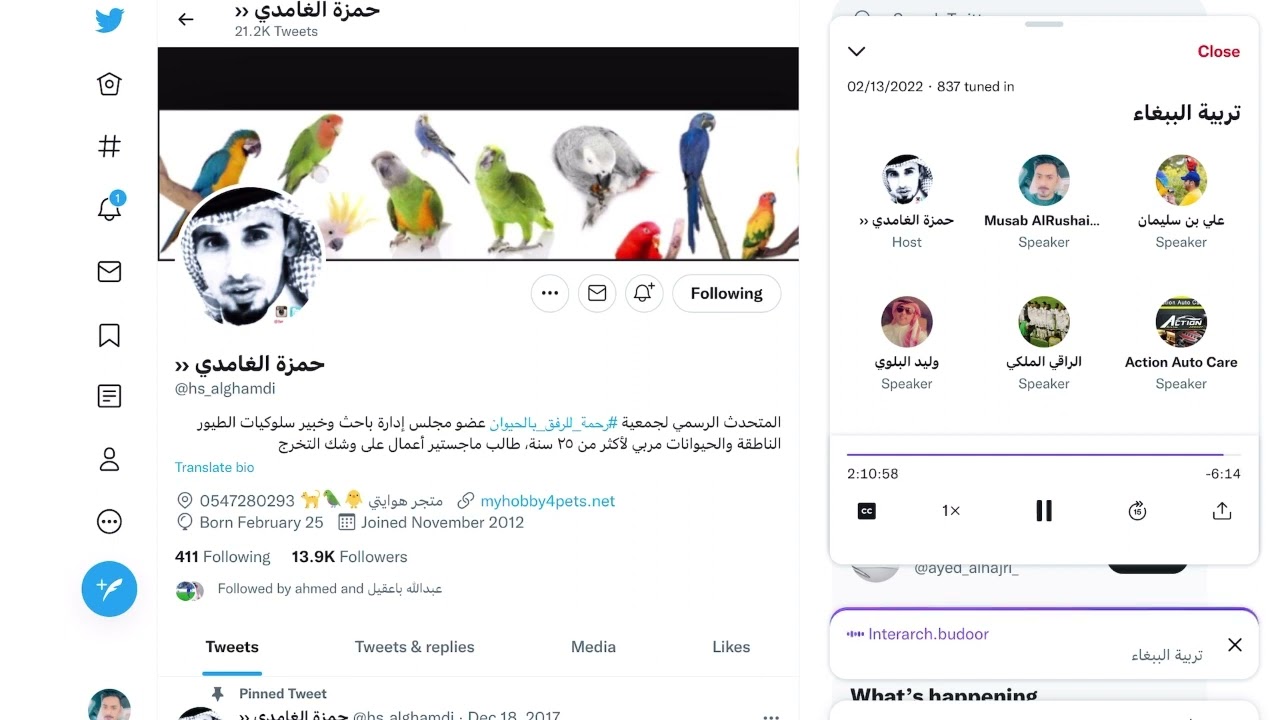 تغير فضلات الببغاء حسب الغذاء ومعلومات عن التغذية الصحيحة