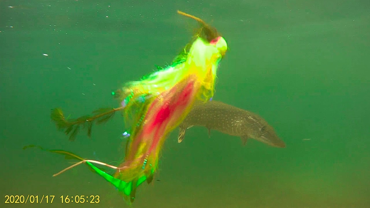 Pike jig streamer attacks