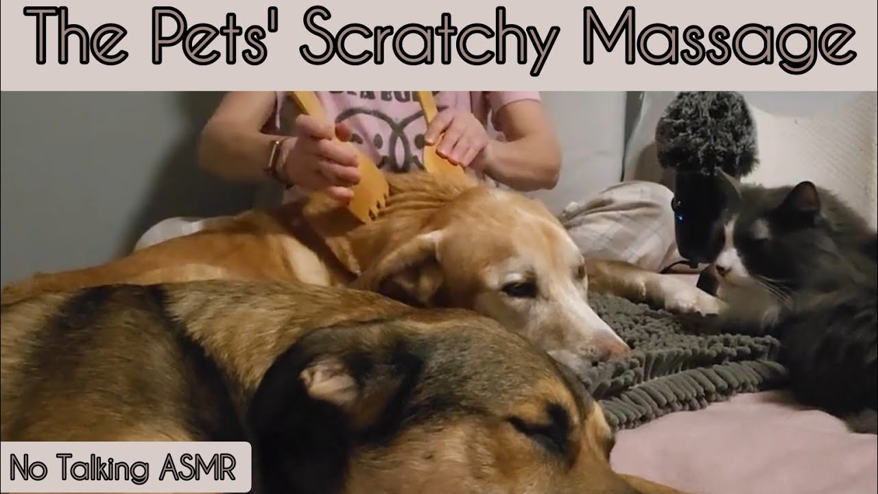 #ASMR