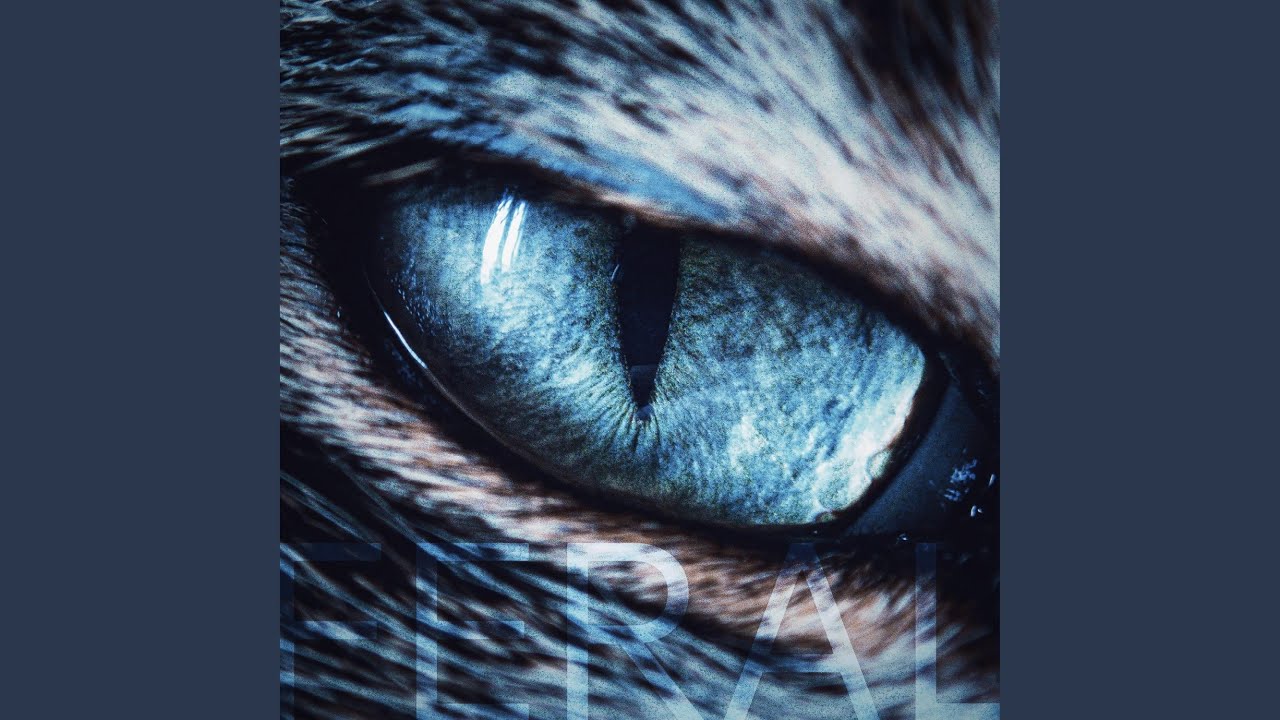 FERAL