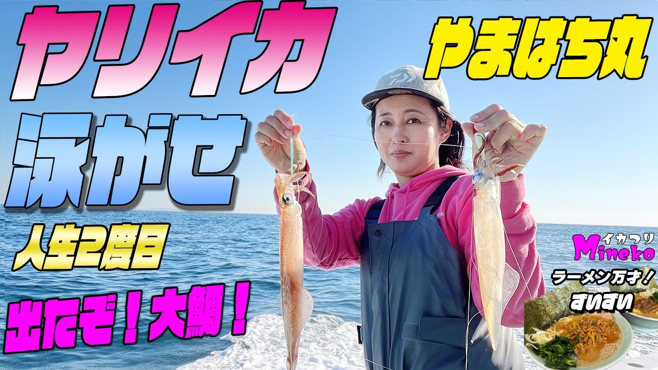 人生2回目！ヤリイカ泳がせ! 狙うは大鯛！餌付け～釣り方までレクチャーあります！ やまはち丸泳がせ真鯛！直結名人が餌確保してもらえるのでサメでもいいから大物と格闘したい！ラーメン万才！はずいずいさん
