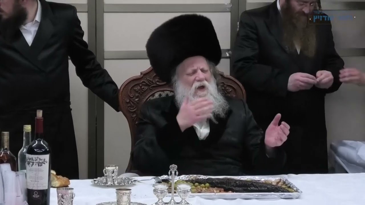 טיש פורים במודז'יץ תשפ