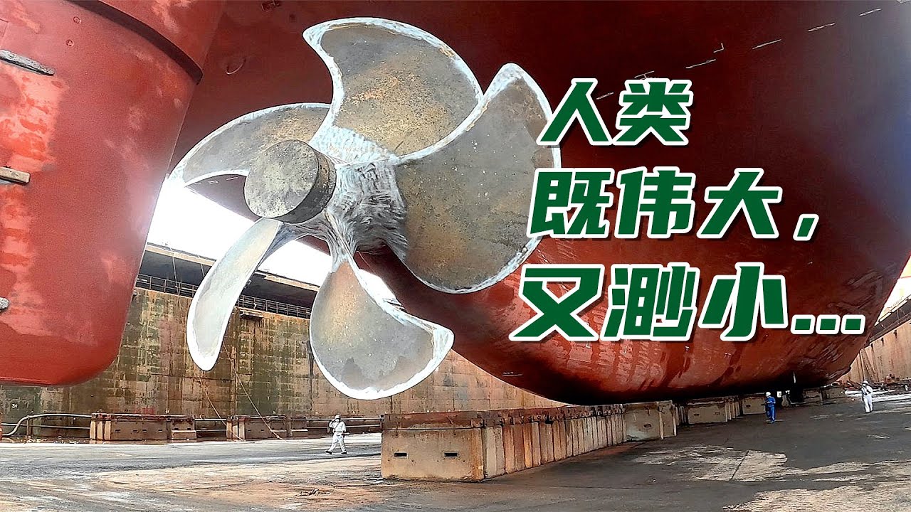 机会难得，震撼现场 ! 跟西曼船长一起到巨轮底下去......