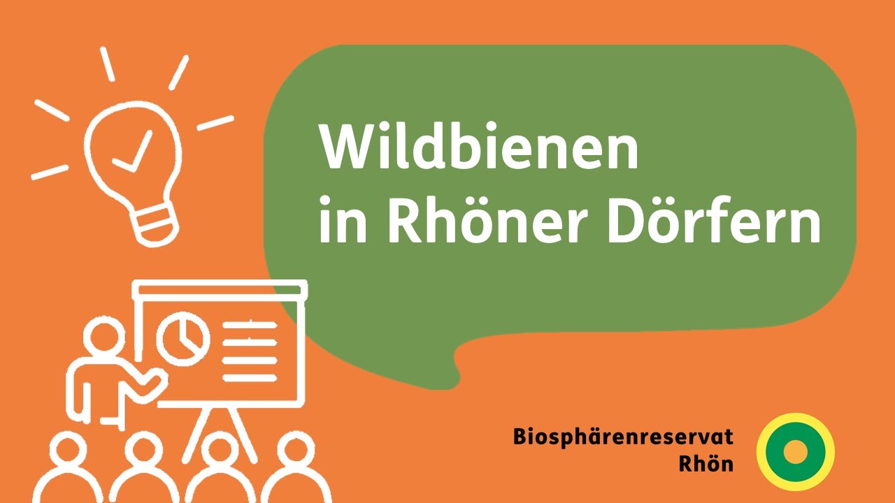 Vortrag: Wildbienen in Dörfern – Wie Kommunen Lebensräume schützen und erhalten können