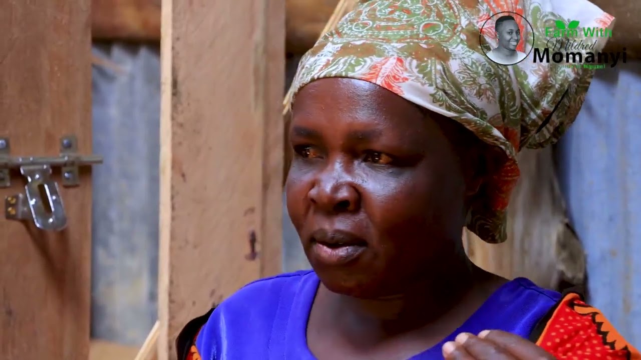 NAROK COUNTY WOMEN IN DAIRY FARMING.