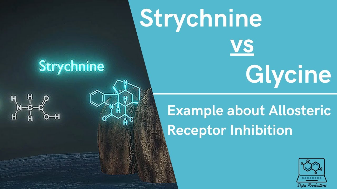 Strychnine vs Glycine-Example of Allosteric Receptor Inhibition