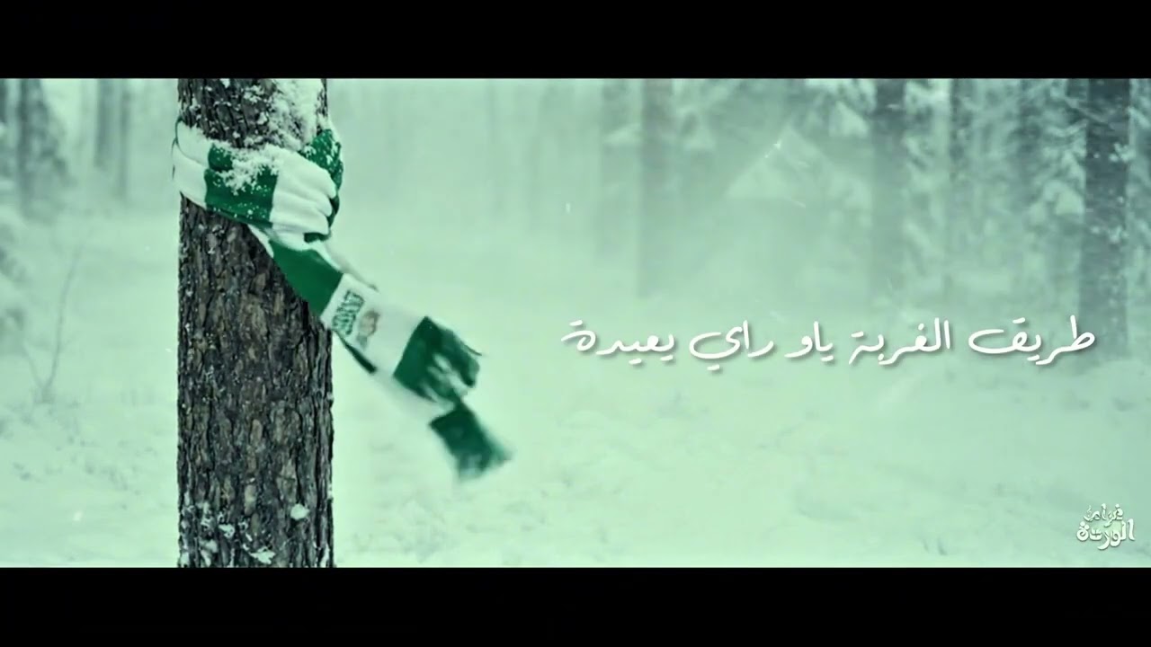 AMORE DELLA ROSA - HKAYA ( CVR GR ) (غرام الوردة)