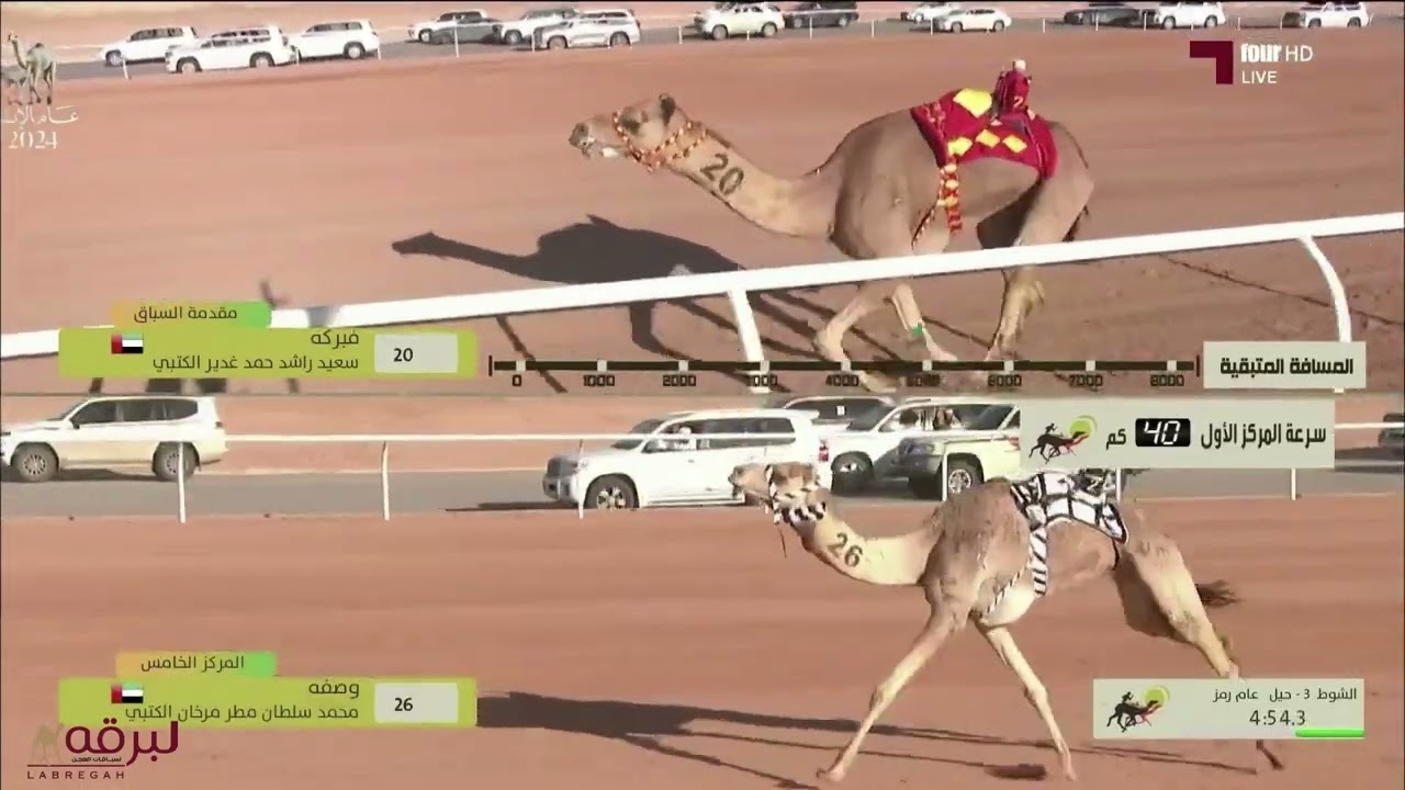 ش3 زاخر لـ عبدالعزيز موسى الموسى (خادم الحرمين الشريفين 18-2-2024م) السيف الفضي للحيل عام 12:12:44