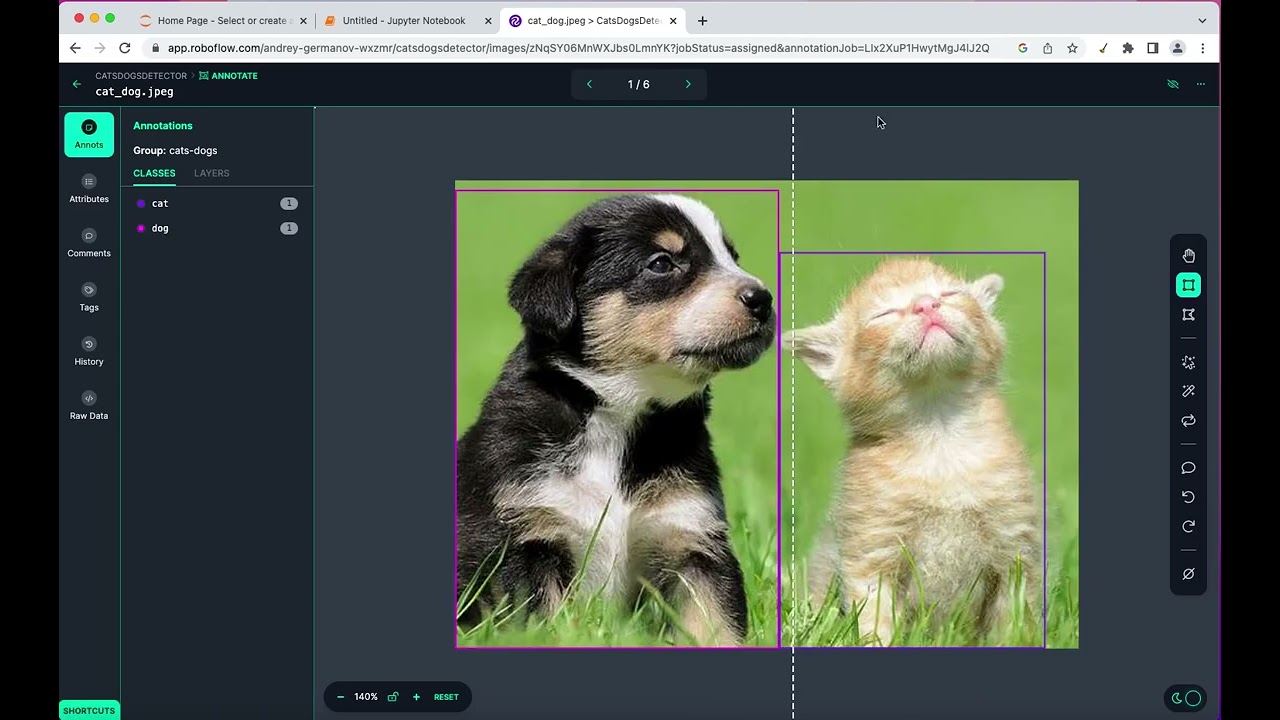 Using the Roboflow to prepare images dataset to train custom YOLOv8 model