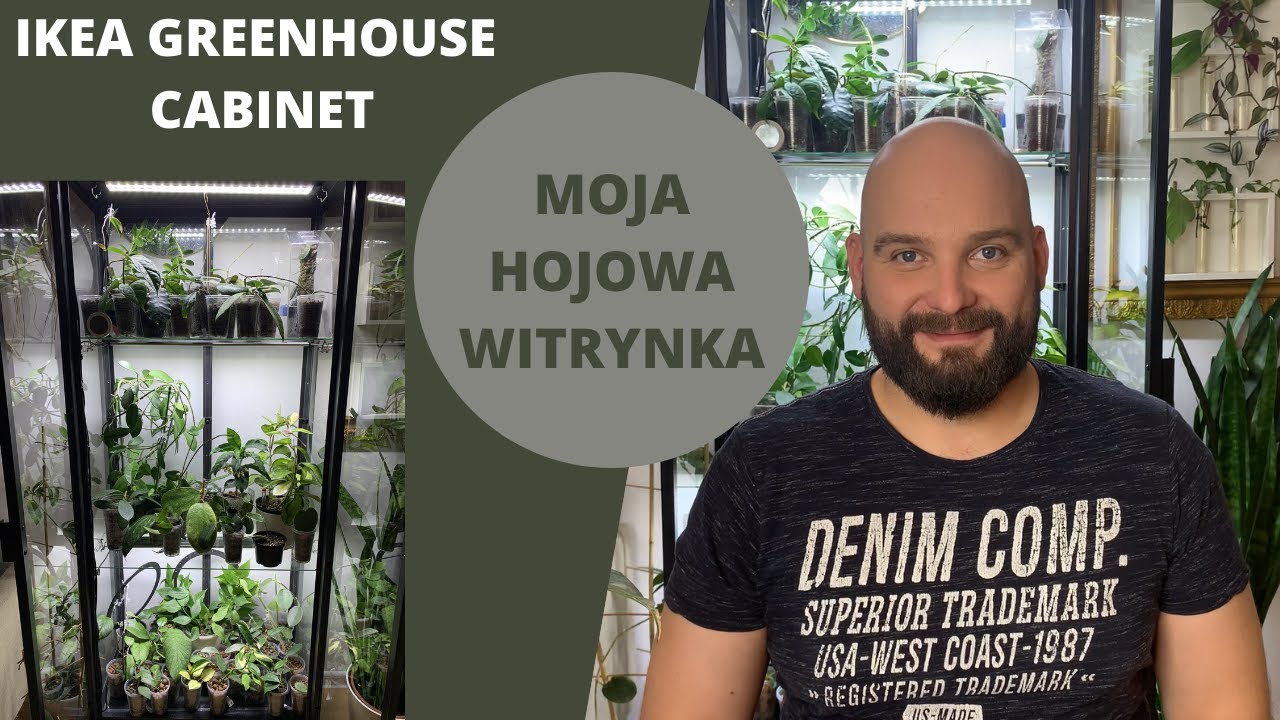 Moja hojowa witrynka IKEA Milsbo