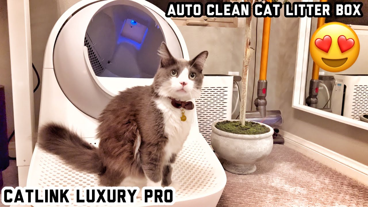 Лучший автоматический туалет: самоочищающийся CATLINK【Review97】